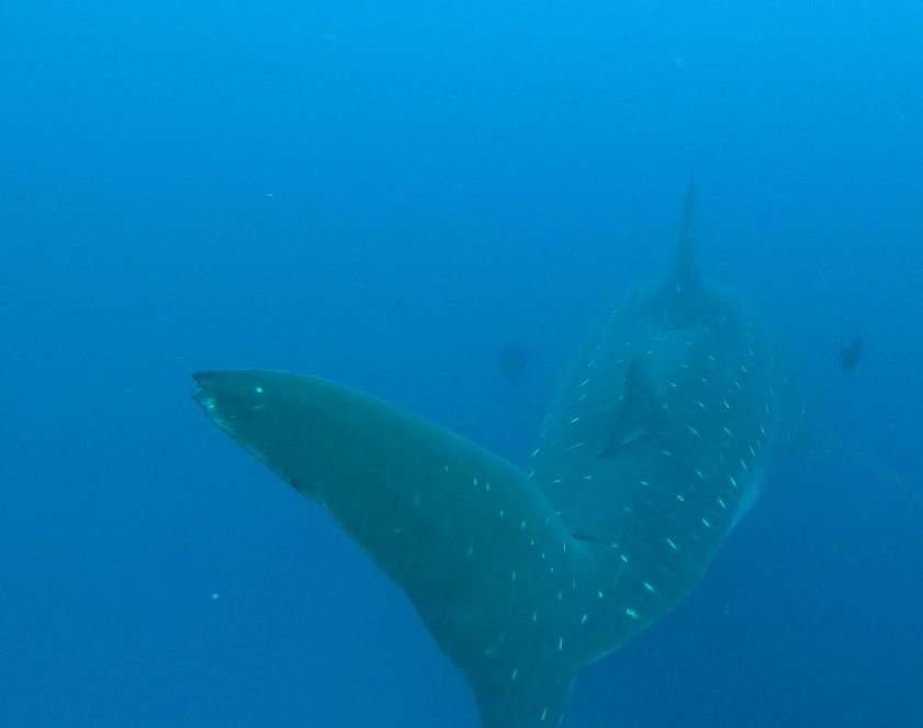 c03412aa-0f33-47ac-b75b-821081b2fa3e