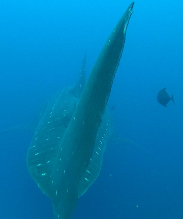 c03412aa-0f33-47ac-b75b-821081b2fa3e