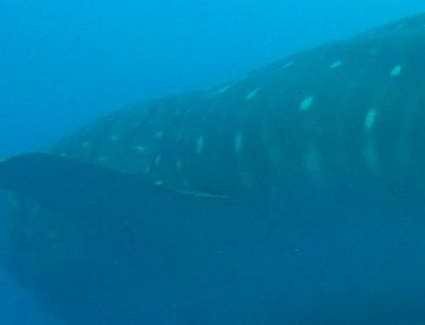 c03412aa-0f33-47ac-b75b-821081b2fa3e