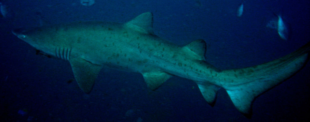 74006316-7bed-4b32-86f7-bc2e05a70c57