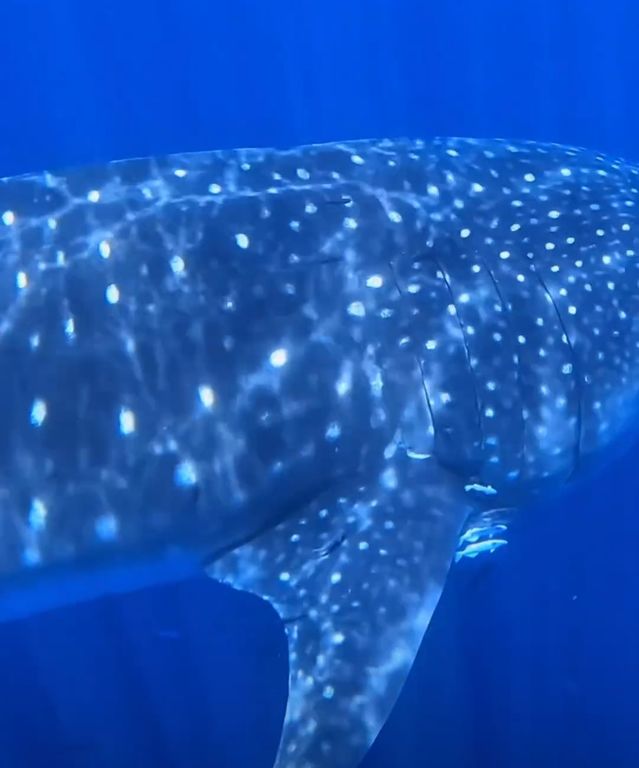 171af2a3-407a-4722-bef3-0254c71ce4e5