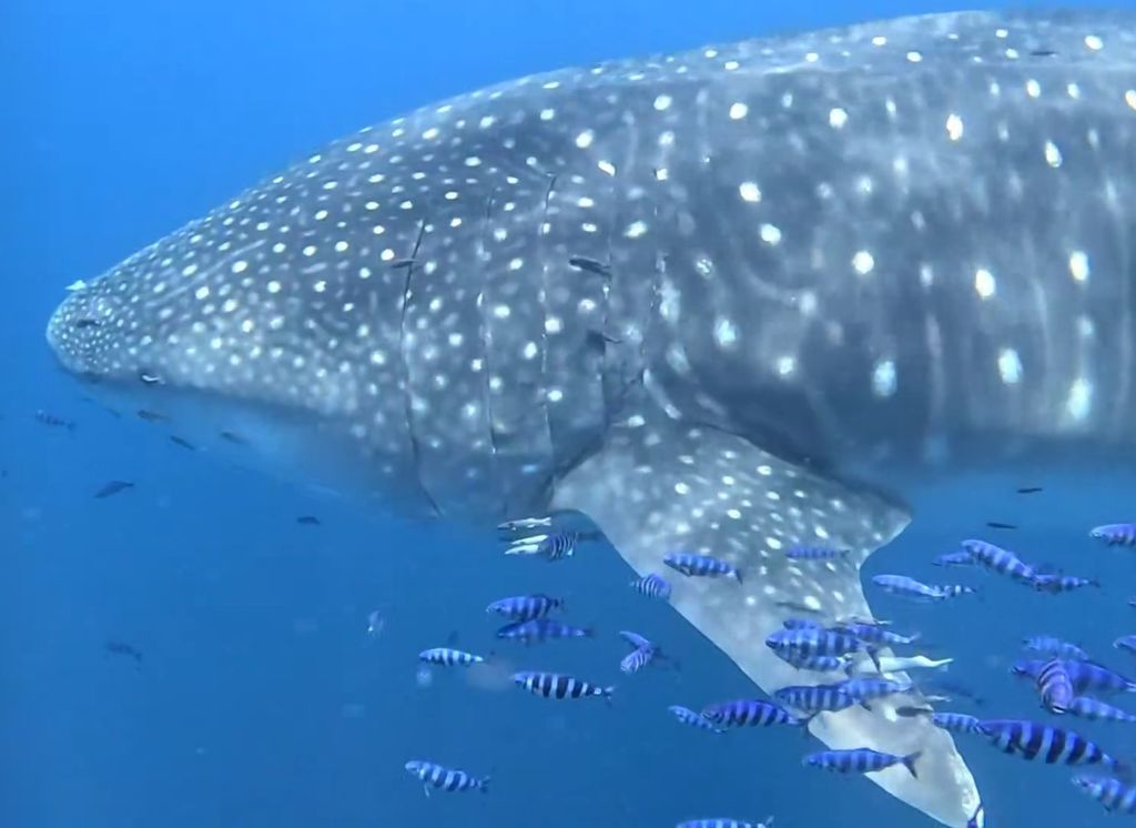 171af2a3-407a-4722-bef3-0254c71ce4e5