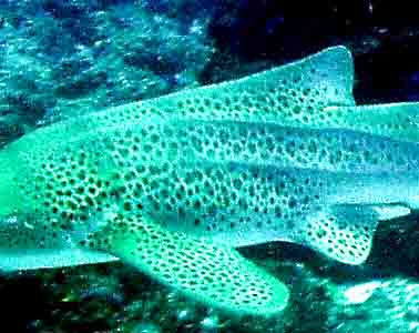 c5eb5637-aab0-4105-ac34-9e305741f45e