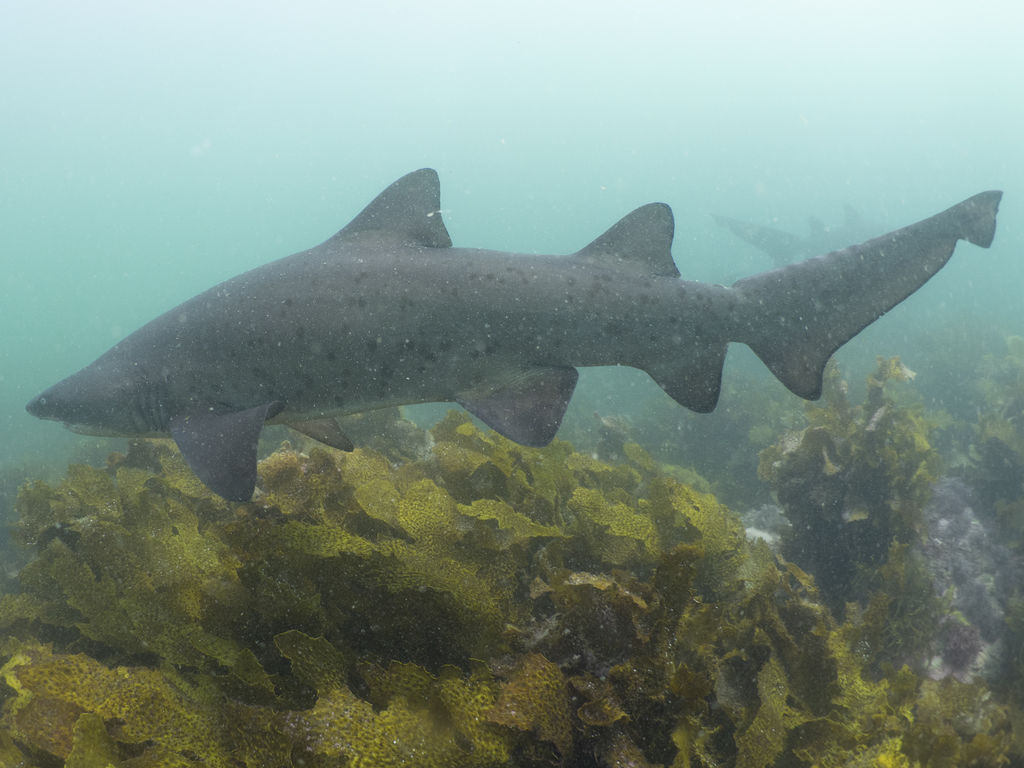 f358e760-d907-4401-8cc3-4c0756568745