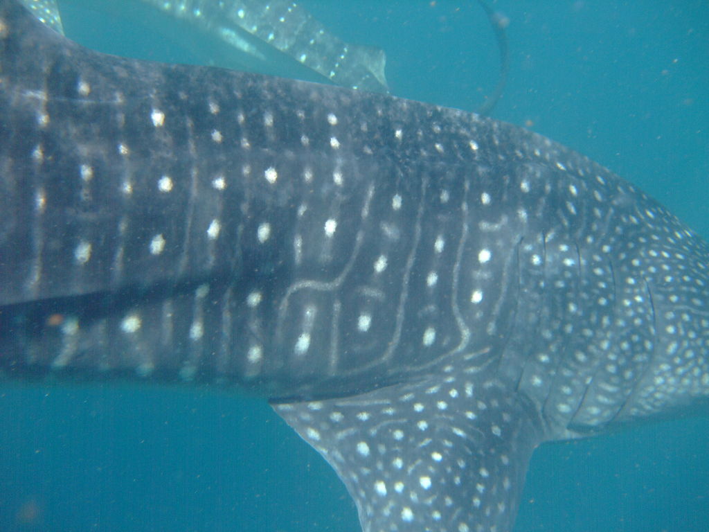 81e5a9fe-acc3-497b-aa46-c82b14e43f7f