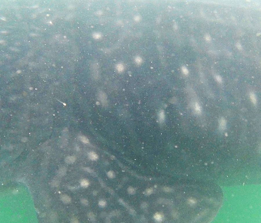 d41acc01-2e0d-4ad2-9e48-9cf2393b28f0