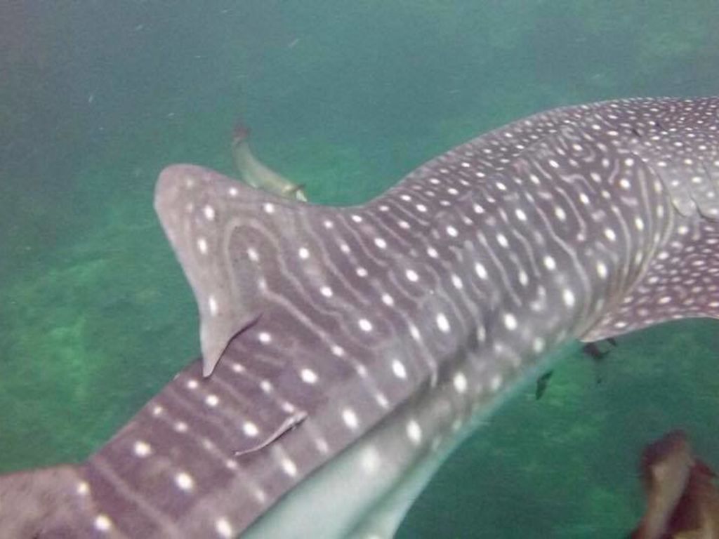 d7888f45-87bb-4042-a5e8-5795192e3a99