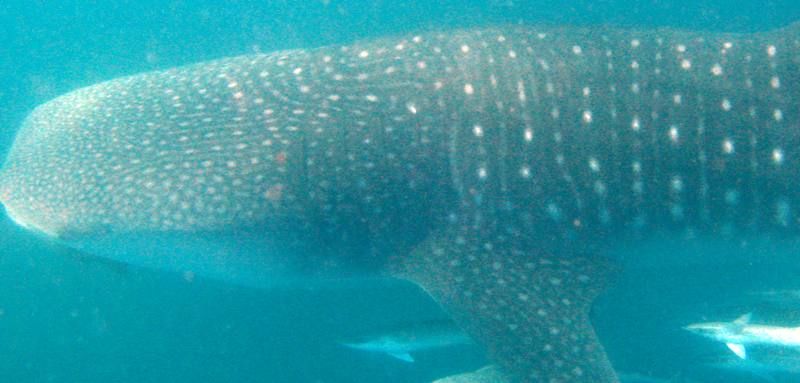 728f15ef-7772-46c6-b159-be3dcbeb9c8c