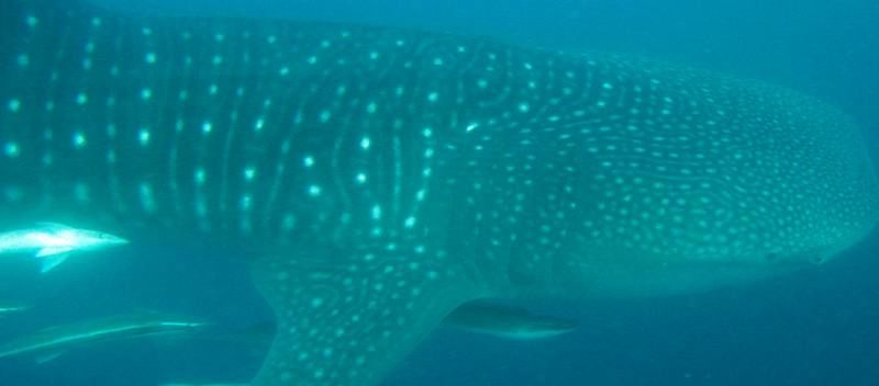 728f15ef-7772-46c6-b159-be3dcbeb9c8c