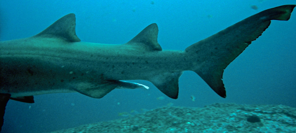 cce321a7-303d-4b1c-b493-e219c6bd67a6