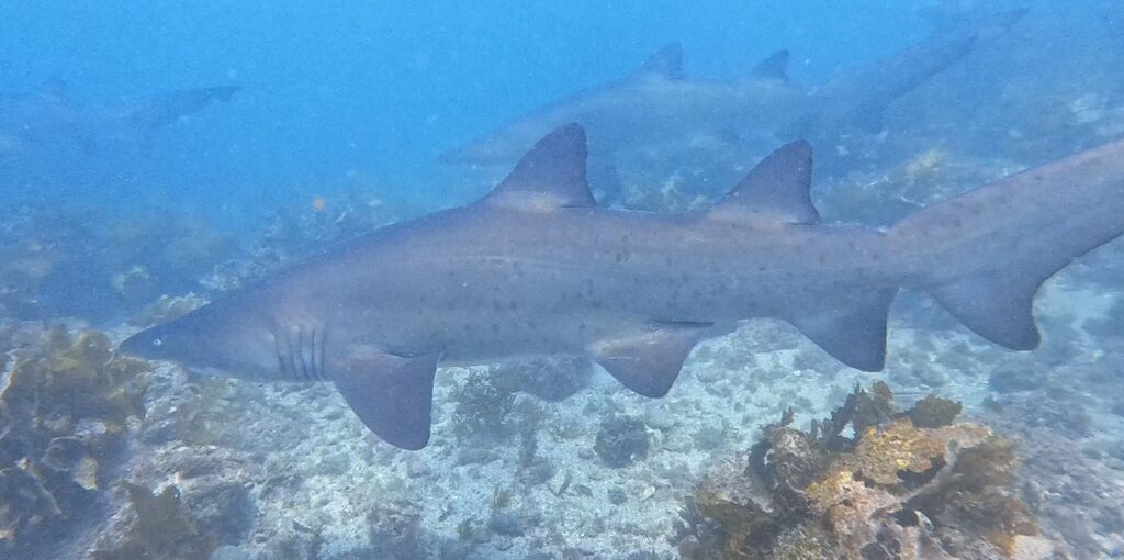 8dbc7c08-80bd-4bef-b925-2408633ee6ad