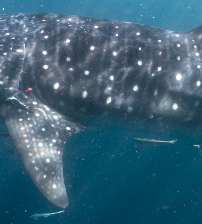 d64f765f-a234-46d6-8568-61ba8f19f2b6