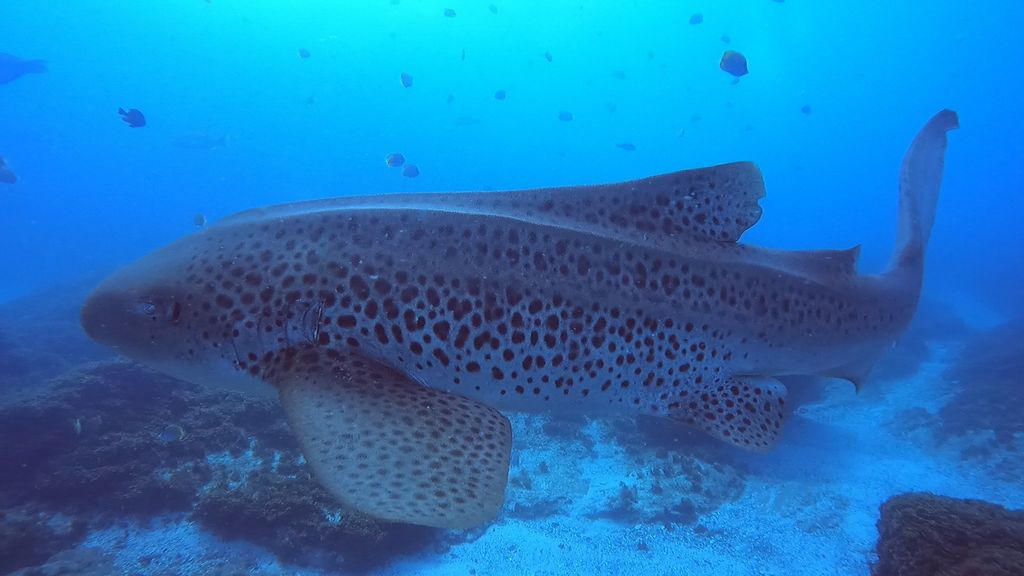 0f16f8d8-f6ad-462c-a672-727744828b43