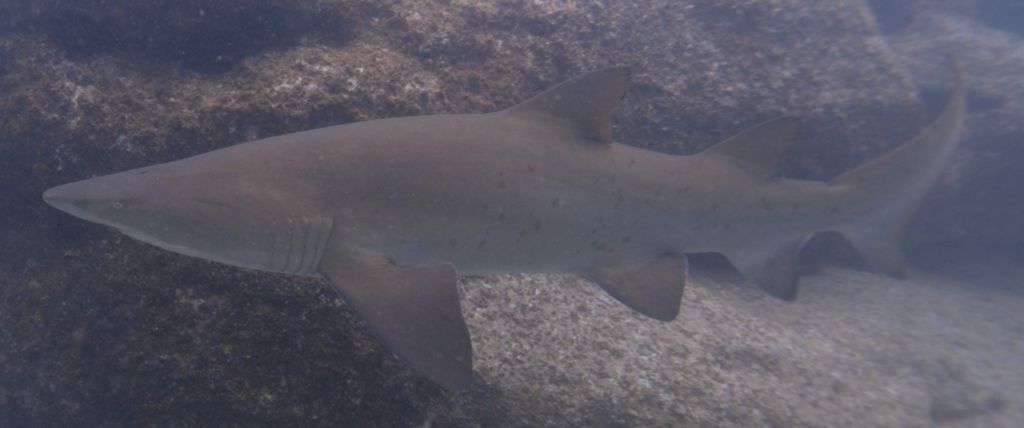 f2fac6ca-39ae-4b3f-8fcc-c1d6704609f8