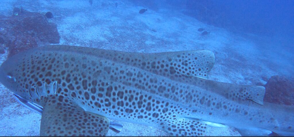 8bcf6a6c-1650-4c9b-81cb-0748c36b5cc1