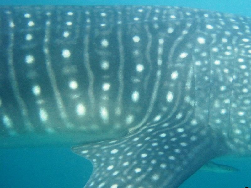 612a5b16-31cd-42e7-8c88-04de013a5a9e