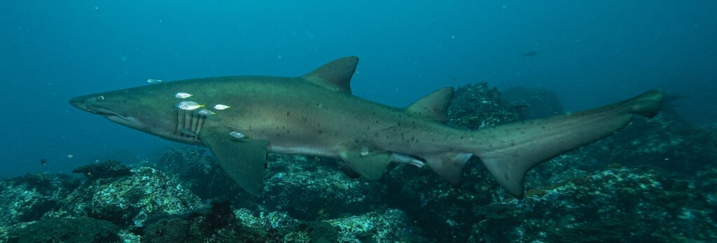 4e313586-b873-485c-b05d-66942e8c1149