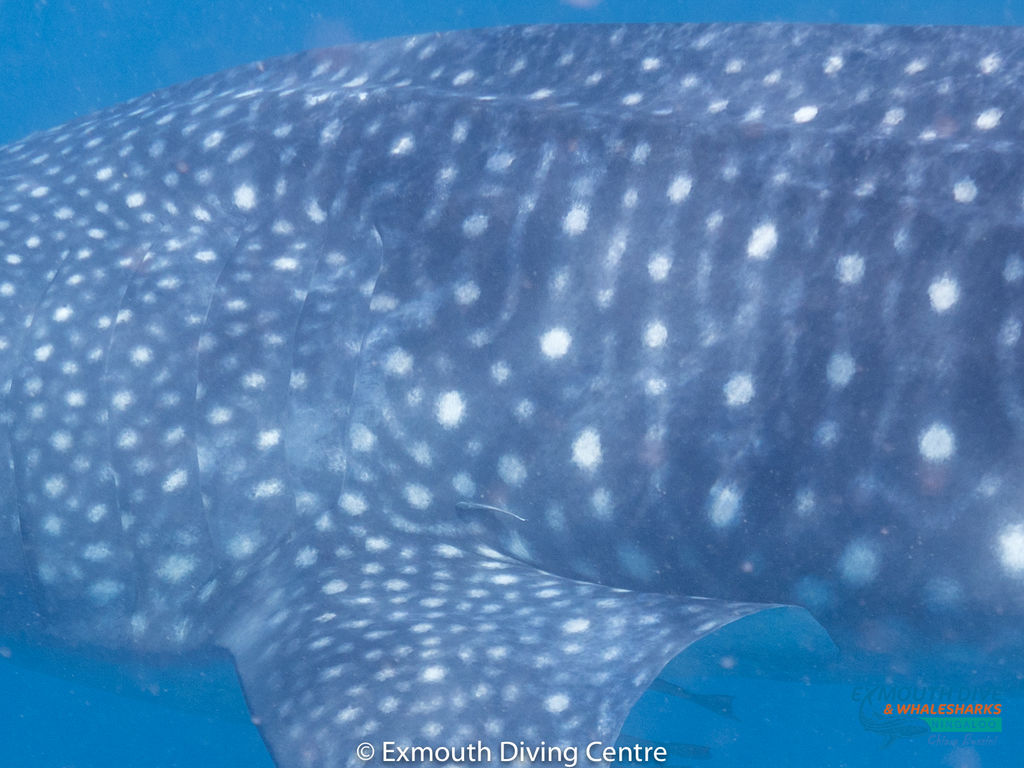 51260148-7919-49e4-96e7-ae35dabc2b25