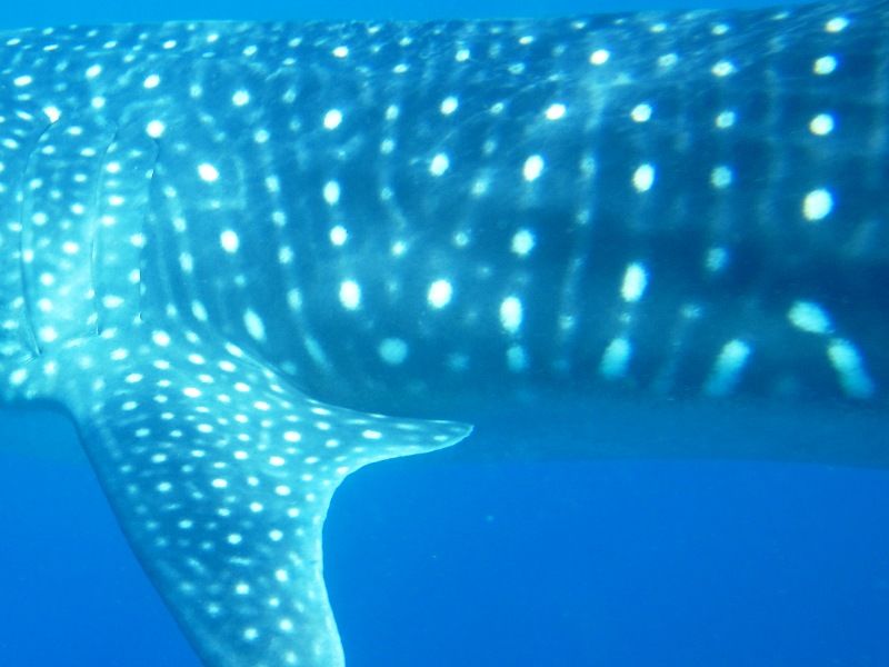 dc1302da-6fbd-43d5-a5d0-c1e189a819a6