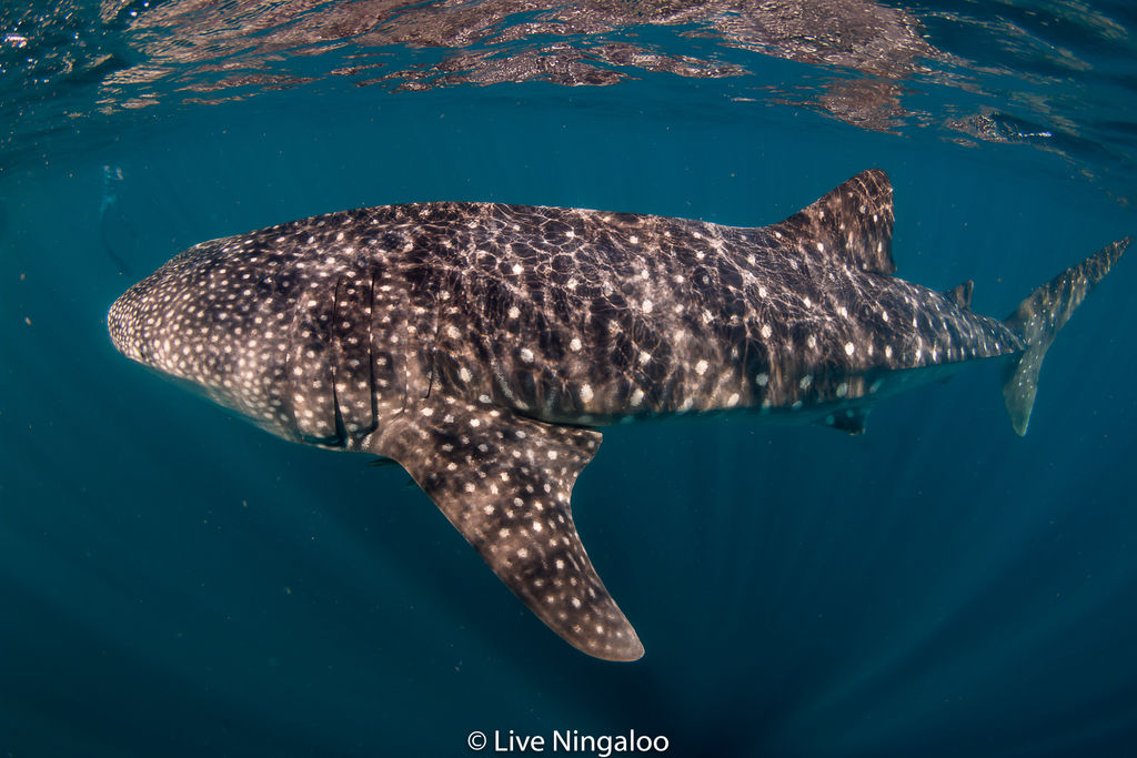 39d3ddf2-8bcc-4c53-887c-8fc1cf802e6b