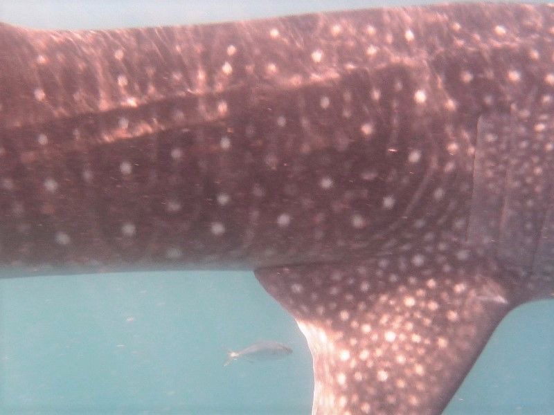 3bfdd2ae-d8c6-4bbd-9231-9c0a3a13bbe9