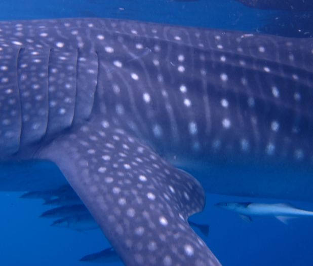 5cdfe795-ed27-415c-8373-f818c7c49622