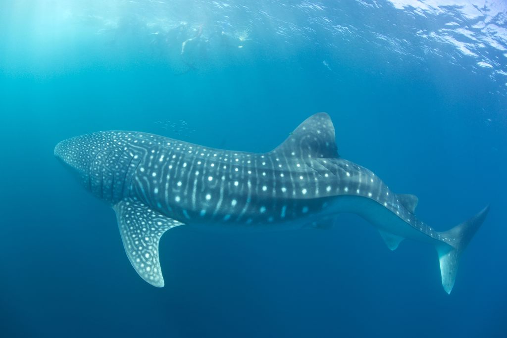 3ceb5445-daab-41ec-9bb5-75eafdec8e23