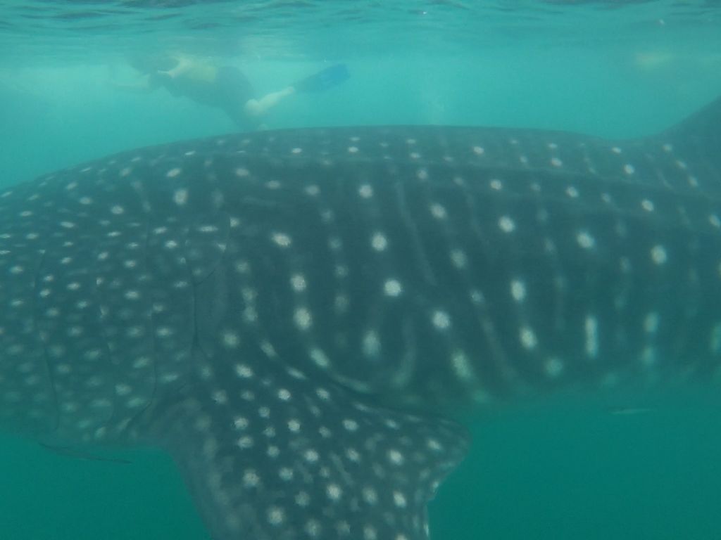 205957ff-fa7c-476a-a4db-c5a86190509b