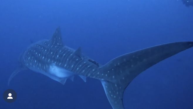 4921c558-a028-4b04-9255-622833b311a4