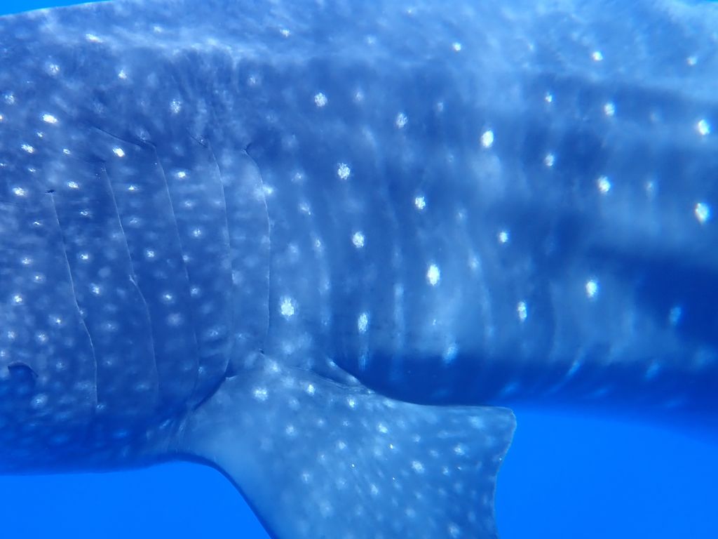 483c5611-bb67-4681-bf9d-3548edcf104b