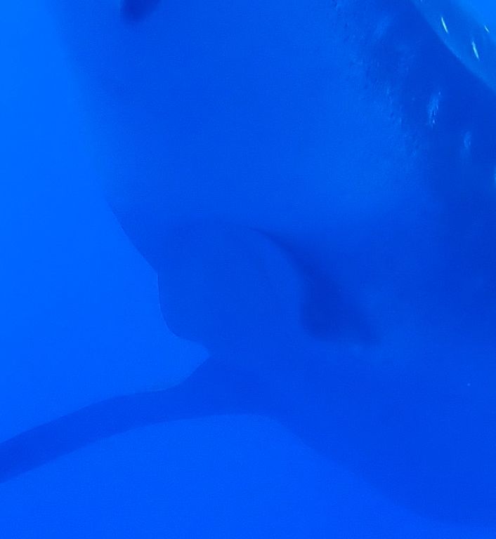 483c5611-bb67-4681-bf9d-3548edcf104b