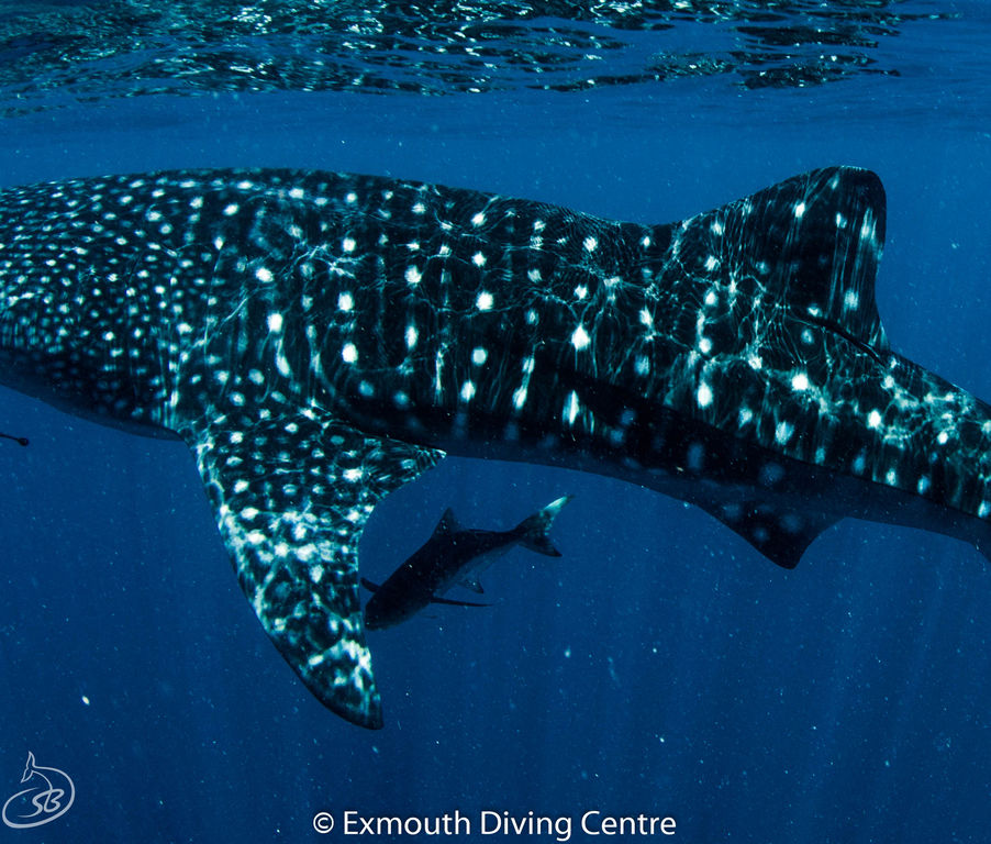 fd4626e3-0a91-4a69-b42b-f3982b0052c6