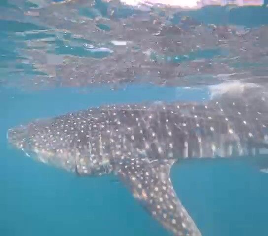 00d0fa03-84ba-4b5a-8174-8b6a026ebc04