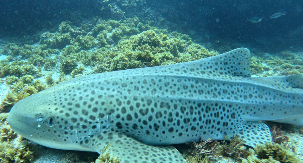 acd03c52-988d-4da4-a4f7-96db95a27af6