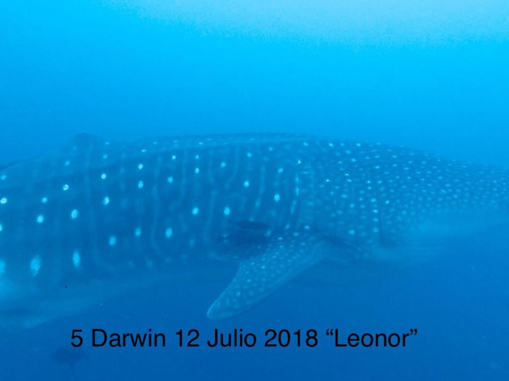 82084b62-c860-4c02-aa96-7c340cad0d85