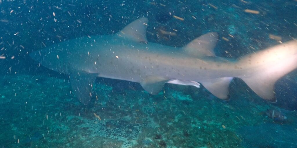 177a4bc0-baa2-4bbb-8d38-b67fb7538a45