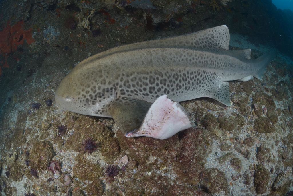 d81d38b5-1571-4844-a8f6-b479c6058481