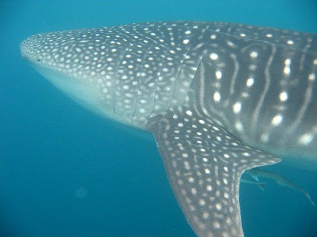 4647f531-08b9-4e1f-97ea-73da8eab5030