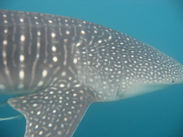 4647f531-08b9-4e1f-97ea-73da8eab5030