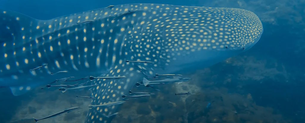 b6f060d9-d6d0-418b-8948-f3afe64b55b0