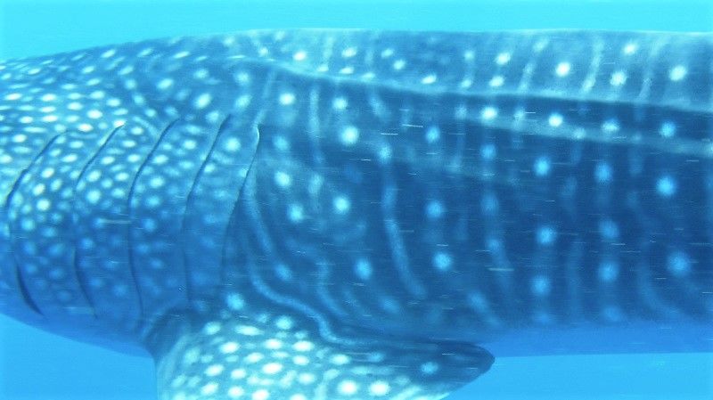 8cf1f9fd-a14f-4877-892d-0e36e17c9f68