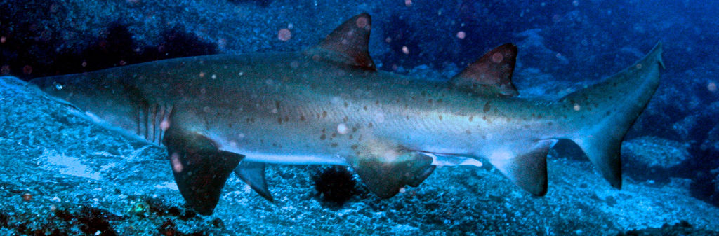 00d497ca-72e6-4693-9ebe-5210257b4ae5