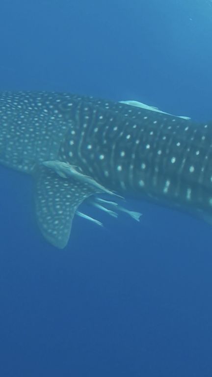 12e75587-4969-4d59-85a3-50acd48b7902