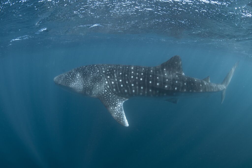 7314a288-46c0-4035-8ce7-d637aa15e80f