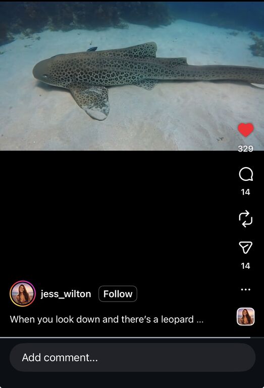 f9ac38e7-334b-4d23-a8ae-b9ef35769be2