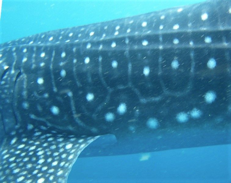 67d94141-f869-4948-97f6-1cca3a2c80d8