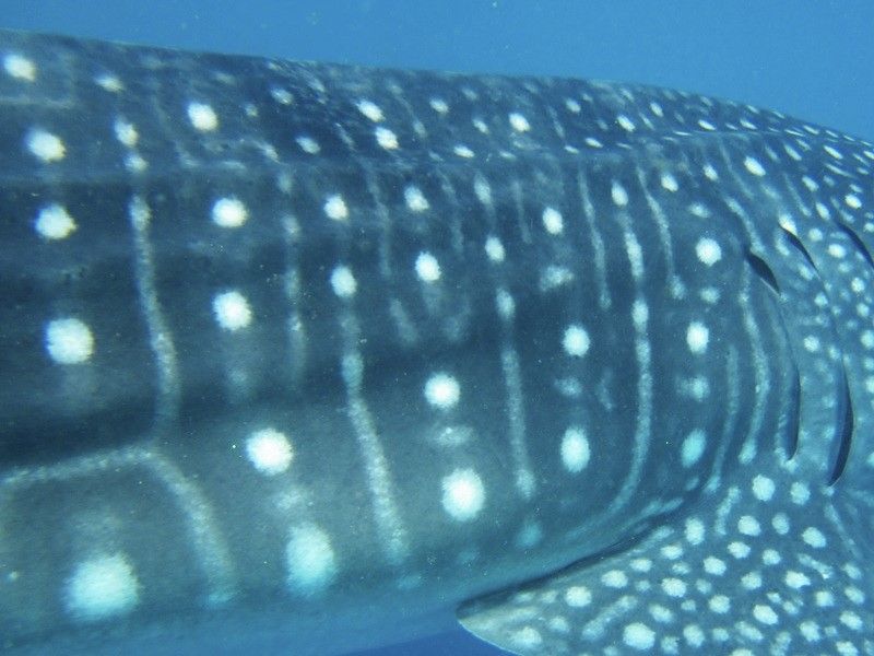 67d94141-f869-4948-97f6-1cca3a2c80d8