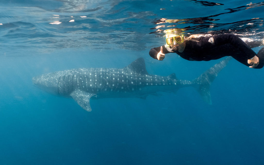 5b8b8cdd-668f-4632-bb73-b0892d72f87e