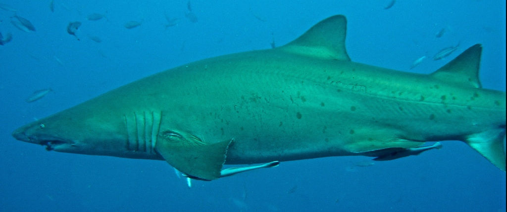 0073902b-ffe8-4eb6-9a9e-39f6de97e36b