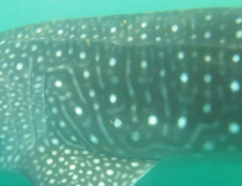 85f7cb64-73e3-4a5f-b135-4ed13c2f9f05